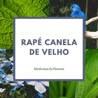 Canela de Velho Rapeh Canela de velho