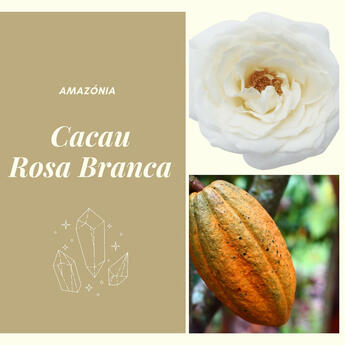 Cacau-Rosa Branca Rapeh Rapé Cacau-Rosa Branca