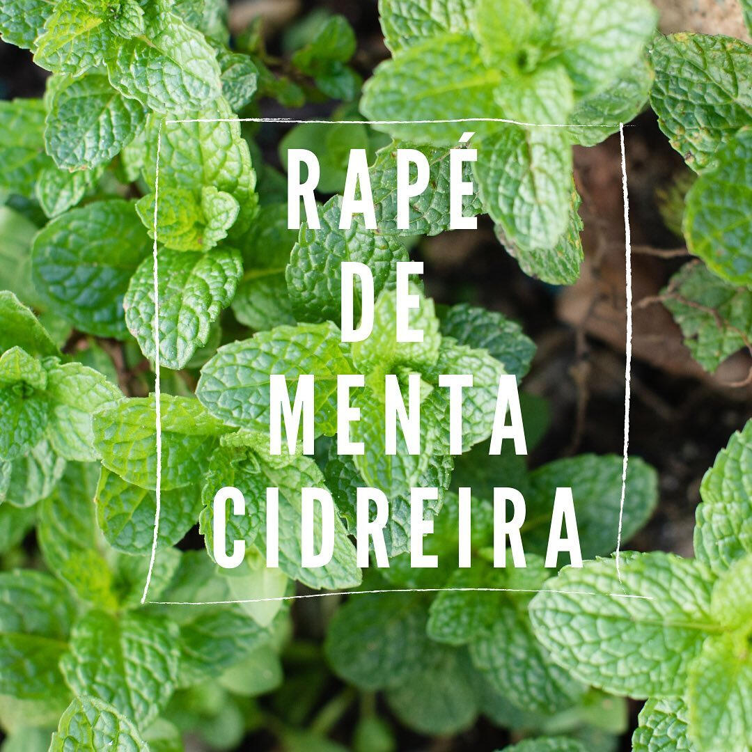 Rapé Menta Cidreira Rapeh Rapé Menta Cidreira