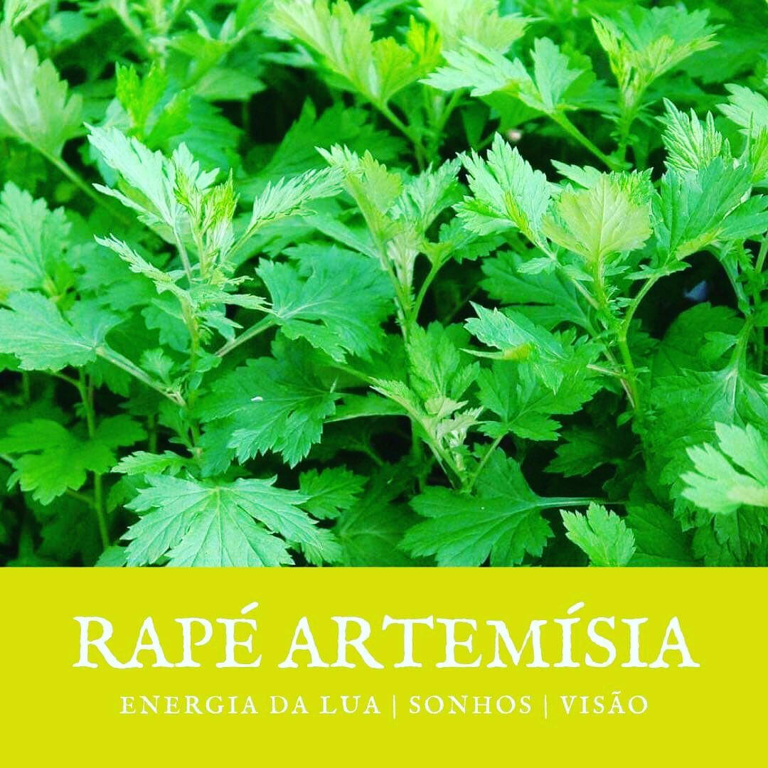 Rapé Artemísia Rapeh Rapé Artemisia